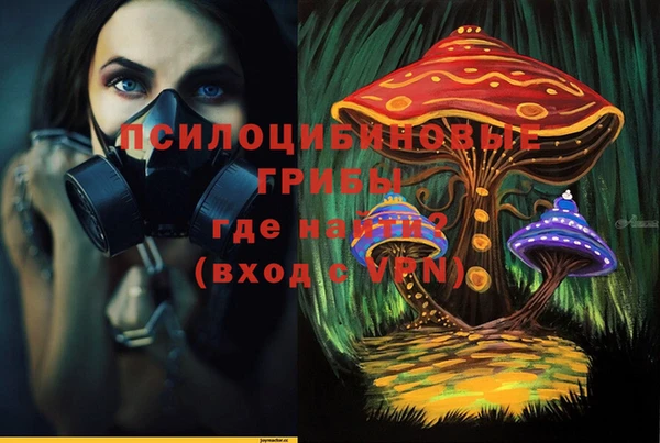 гидра Бородино