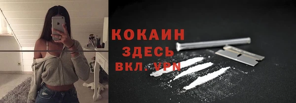 гидра Бородино