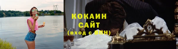 гидра Бородино